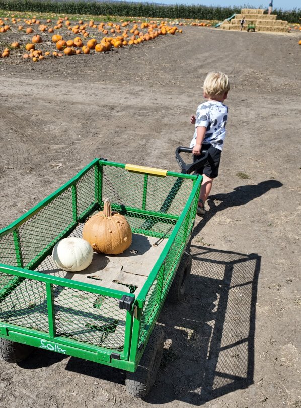Fun Things to Do in Monterey County This Fall