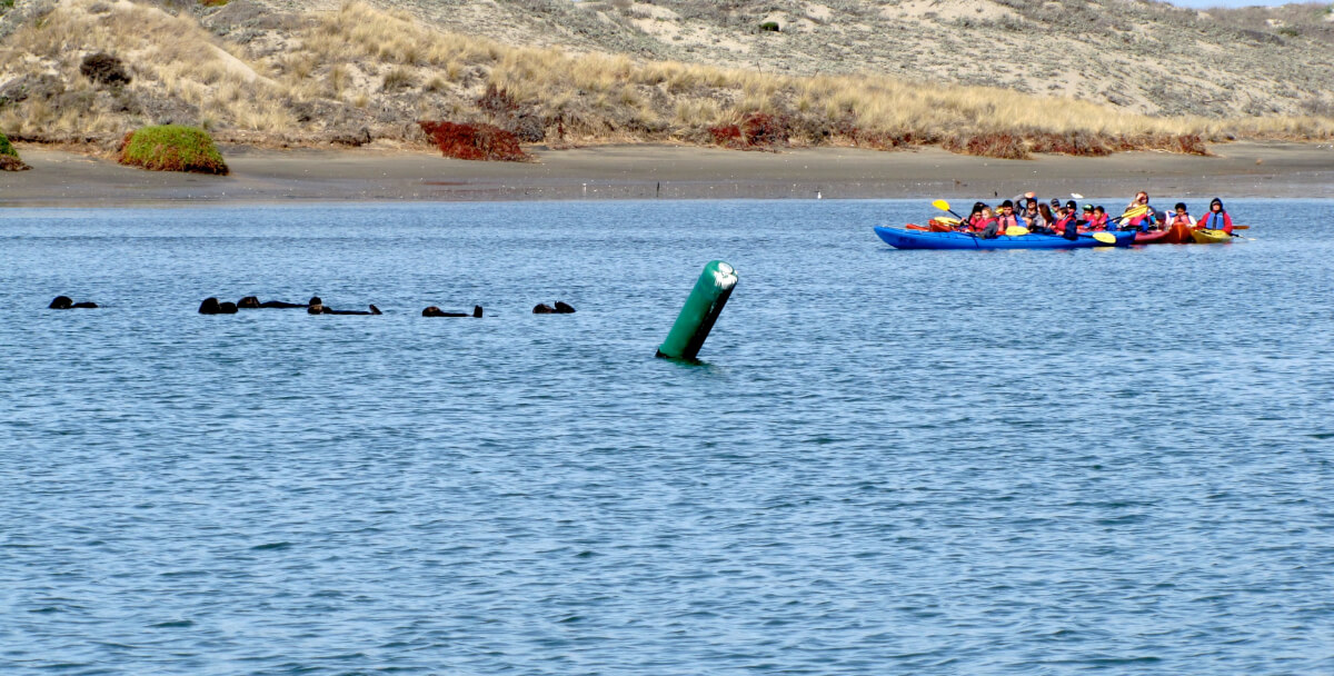 Fun Things to Do in Monterey County This Fall