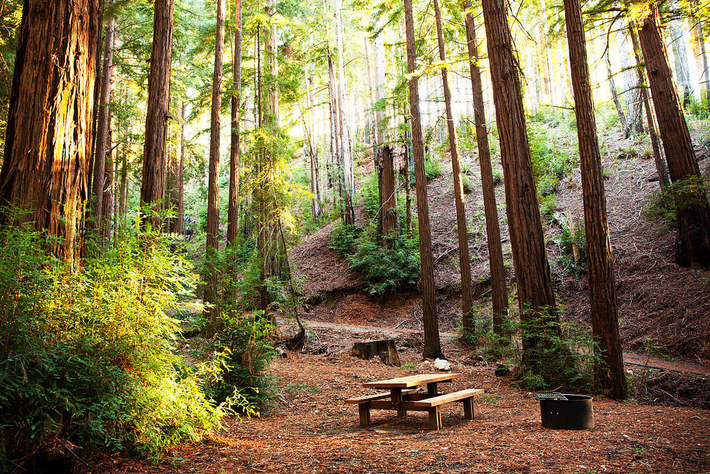 Camping