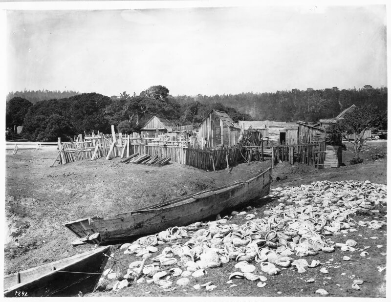 Pescadero Beach Chinatown Monterey