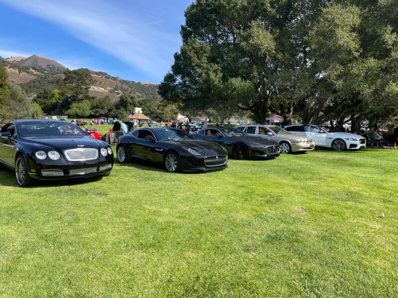 British marques on display on a lawn in front of a mountain for Monterey Car Week