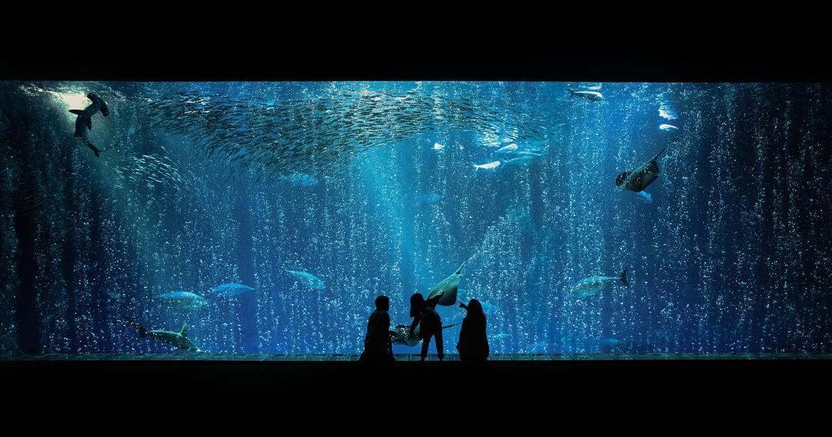 The History of Hospitality on the Monterey Peninsula Child and two partnets standing in front of the floor to ceiling Open Sea exhibit at the Monterey Bay Aquarium