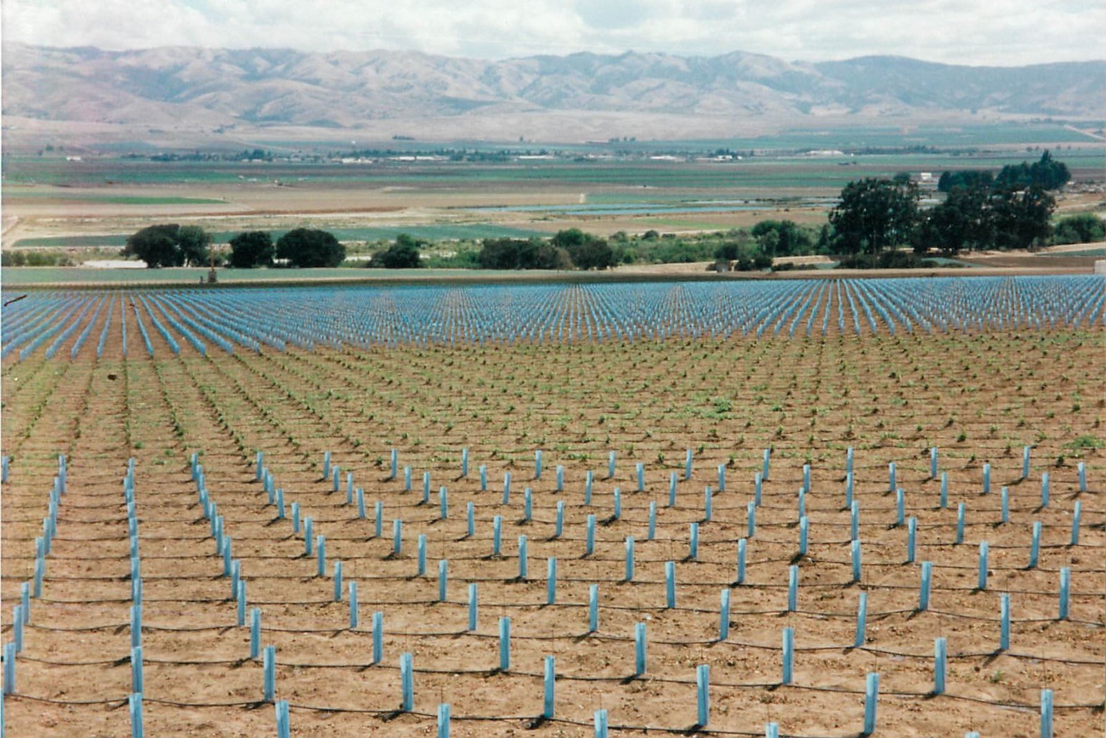 The History of Winemaking in Monterey County The History of Winemaking in Monterey County