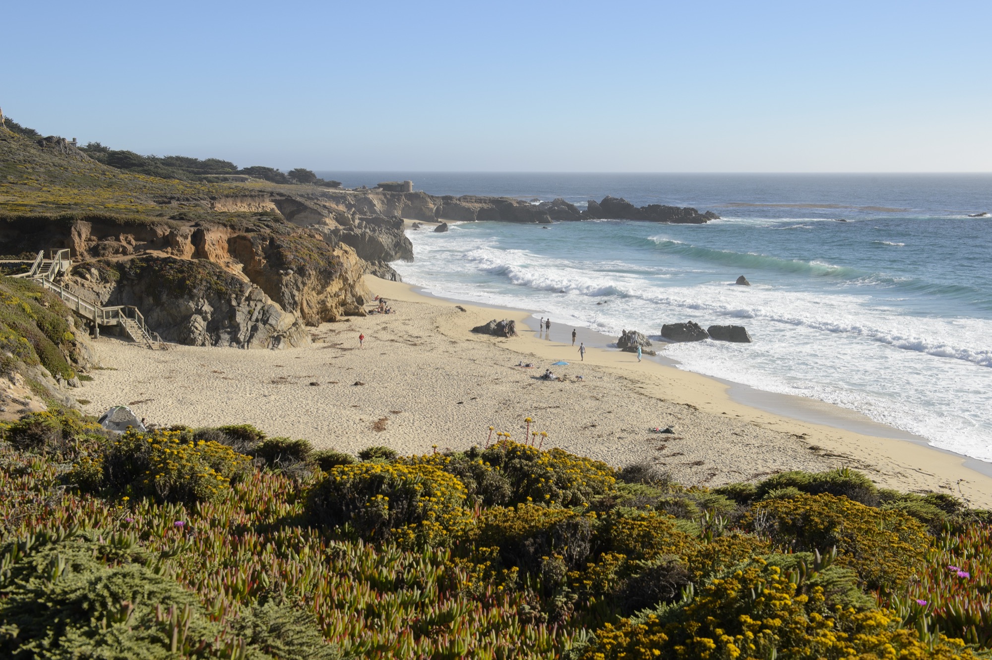 Cliffside beach scape with coastal plants and people walking on the sandy shore