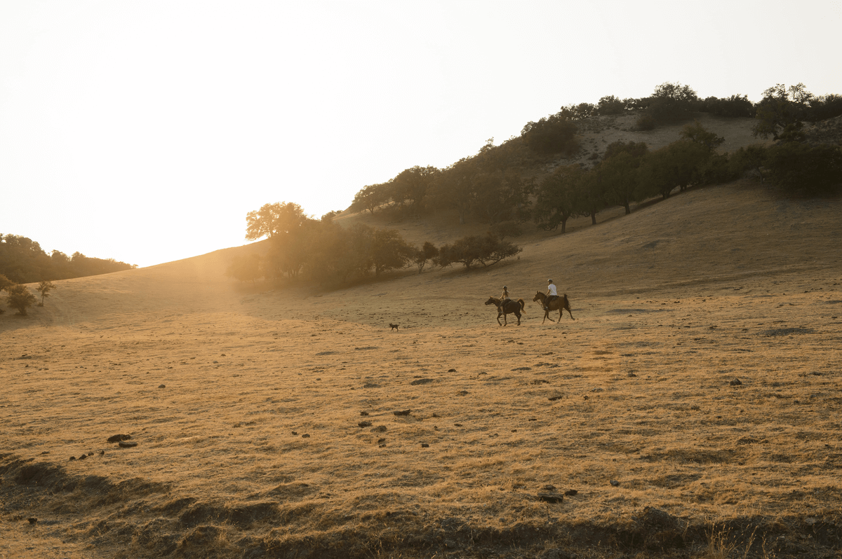 Salinas Valley