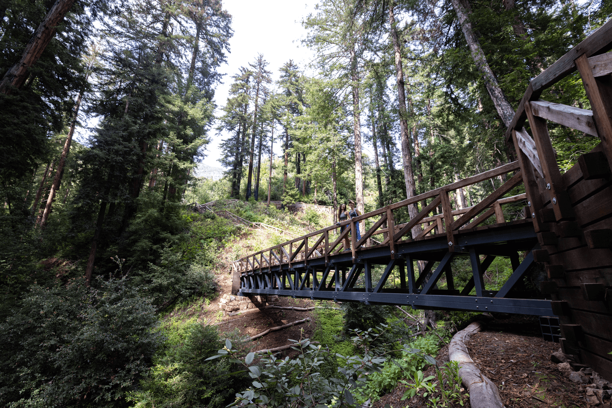 A Scented Itinerary Through Big Sur, California