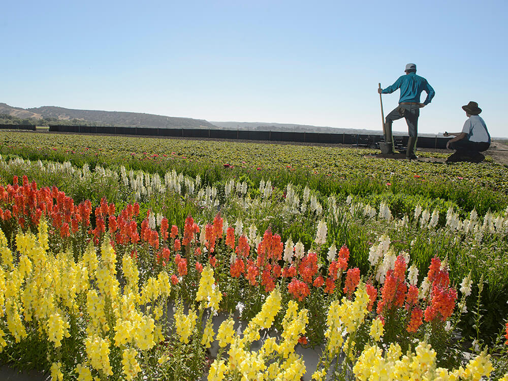 5 Things to Do in Salinas with Kids