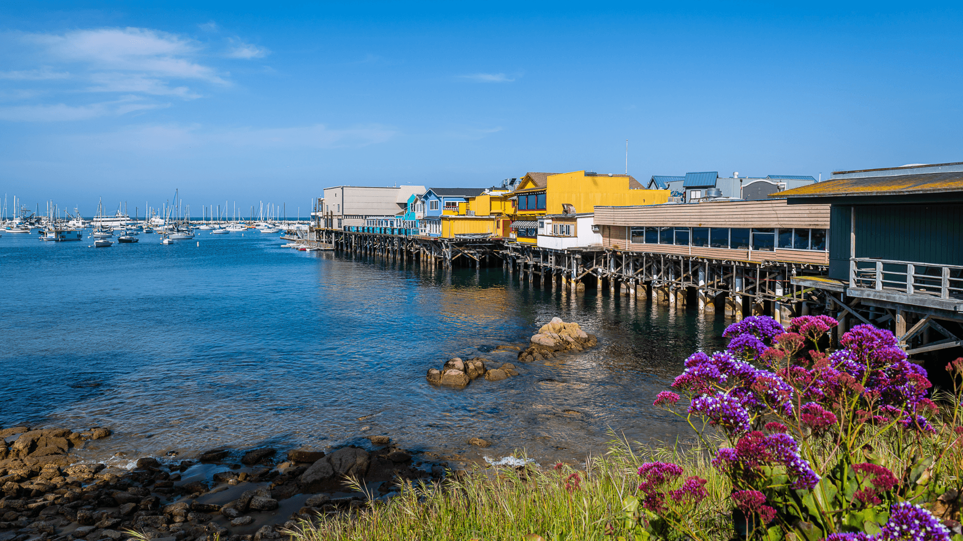 See Monterey Marketing Opportunities Monterey Old Fisherman's Wharf colorful buildings