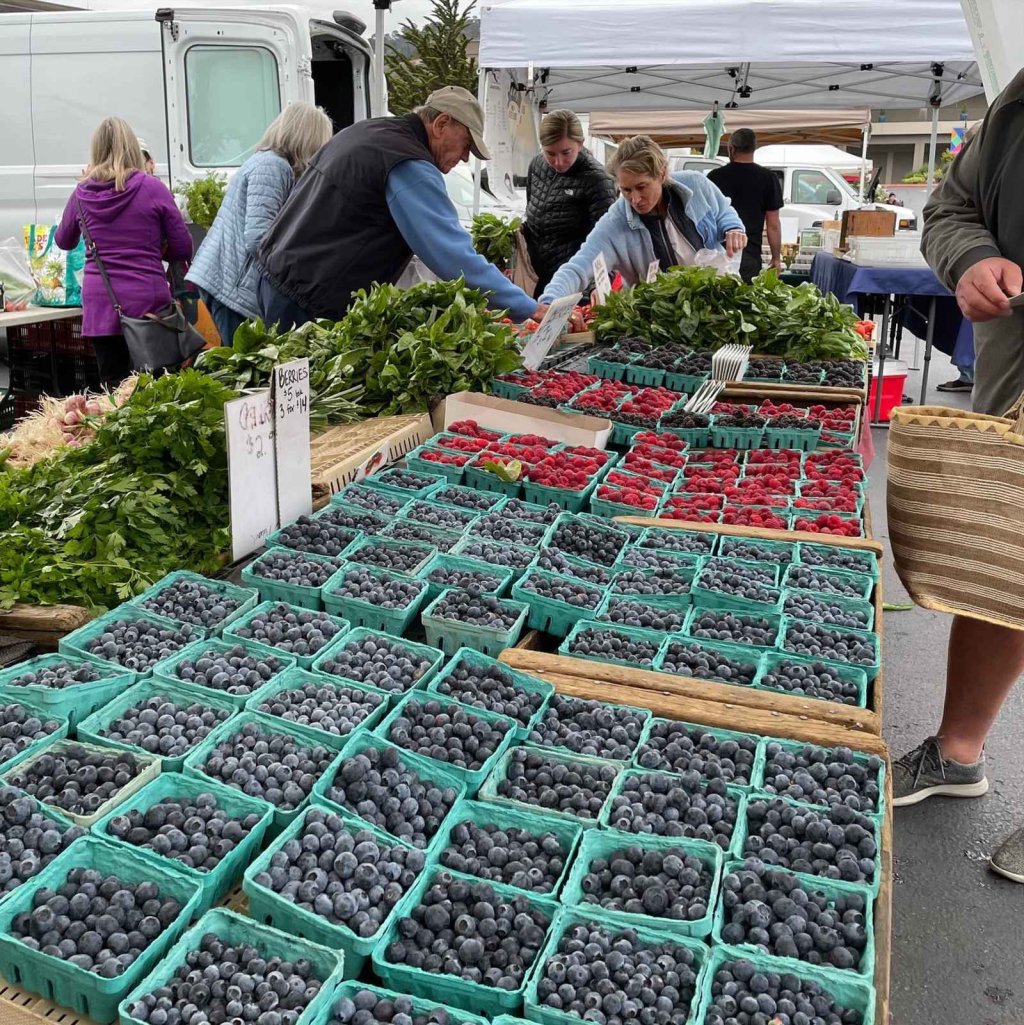 people picking out fruits and vegetables at the del monte farmers market