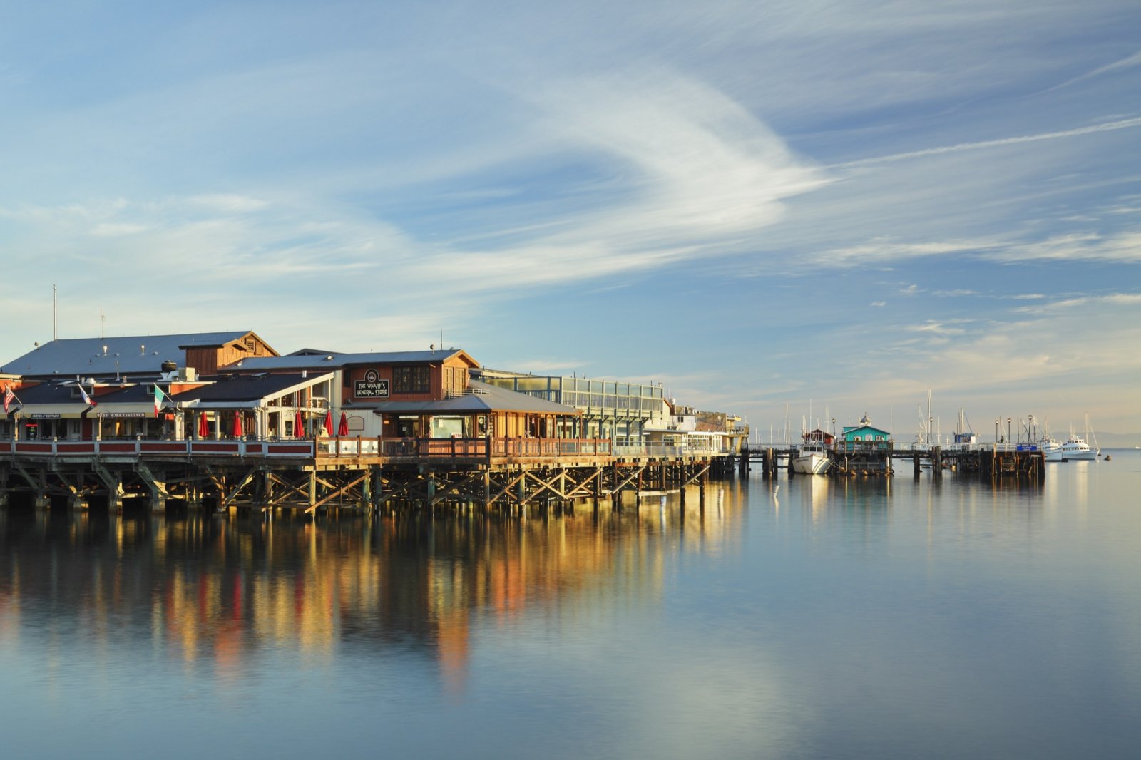 the Monterey 1000 Project